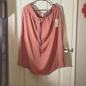 Mid length skirt , brand new day, target